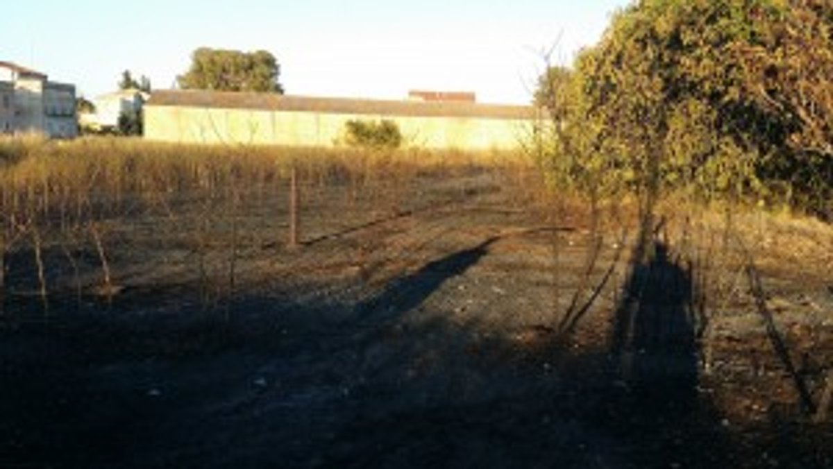 foc 2