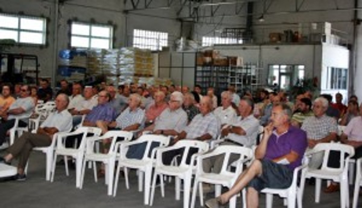 assembrela