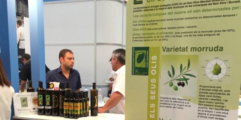 Entrevista-Lluís Cardona Gerent Agrícola del Camp