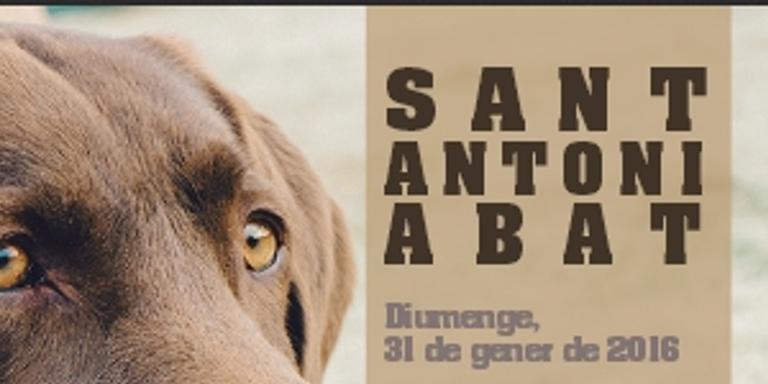 Sant Antoni arriba dos setmanes tard a Santa Bàrbara
