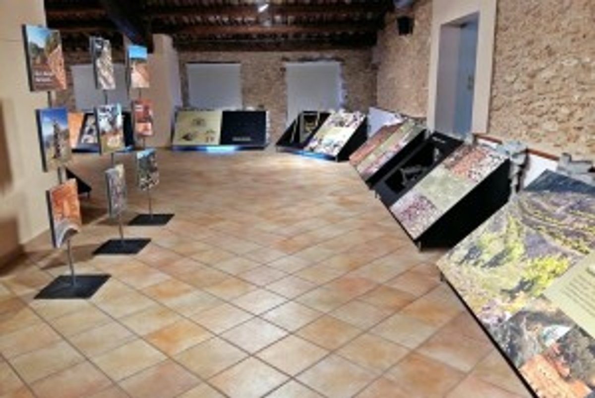 expo