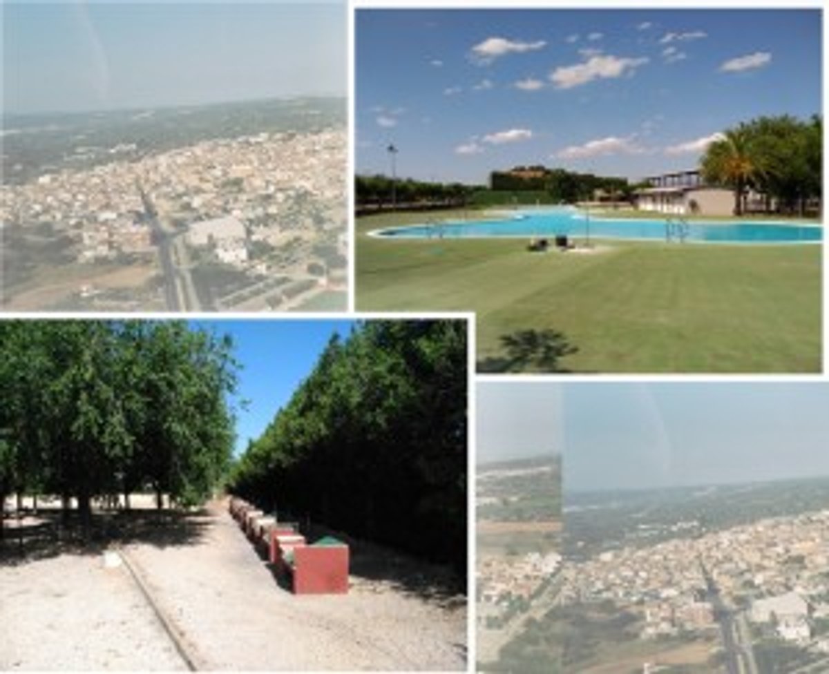 PISICNES1