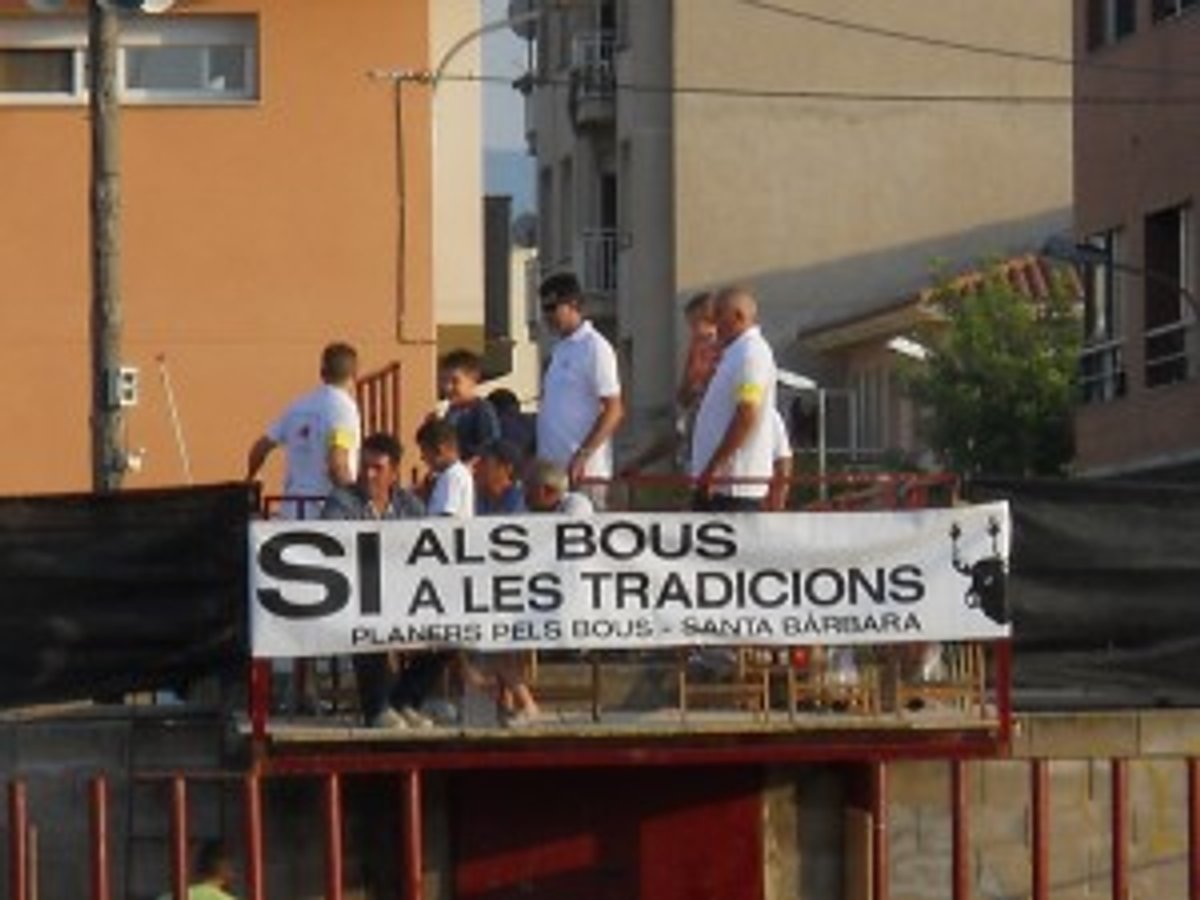 Tarda de Bous (7)