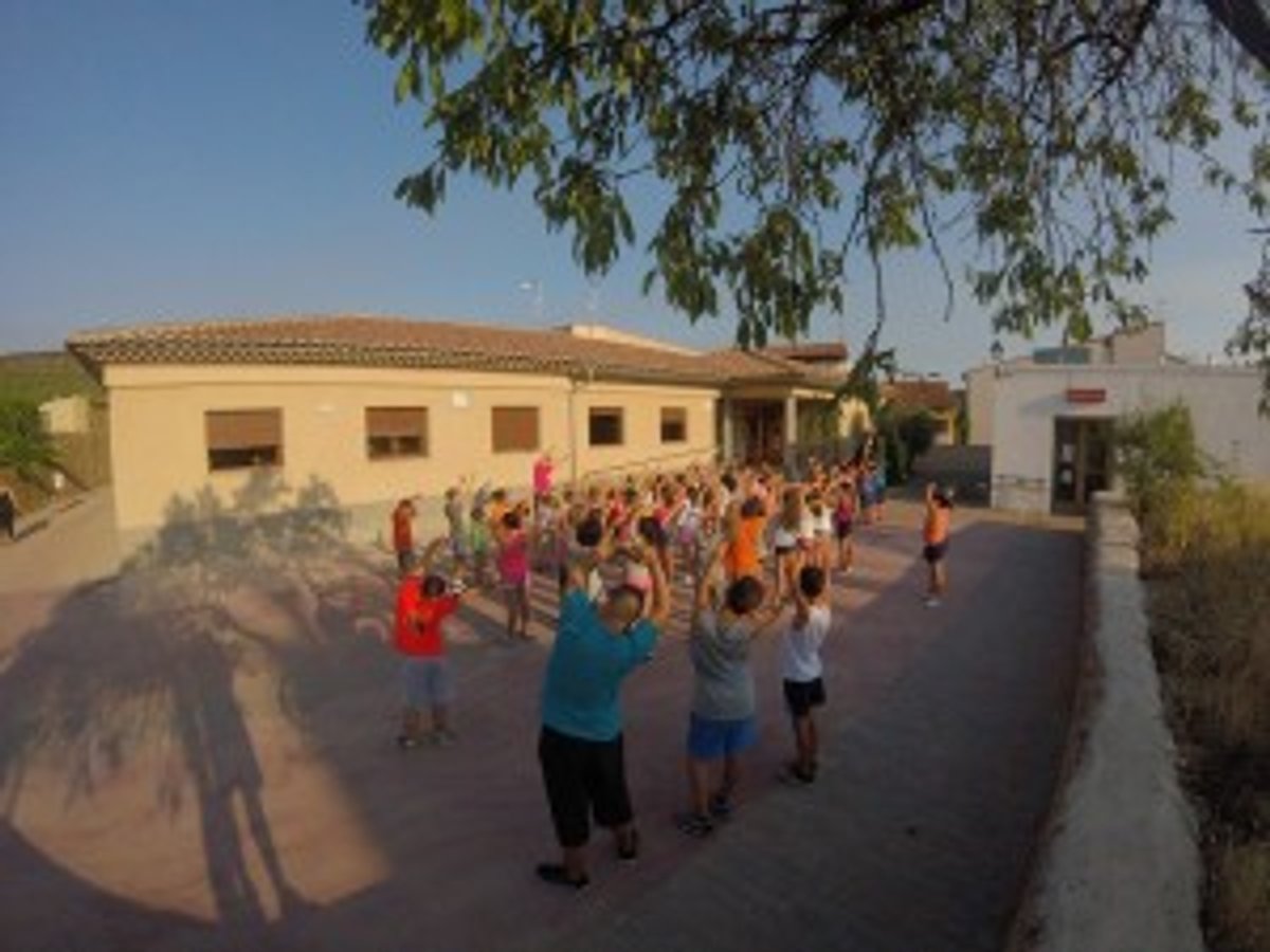 colonies gimnastica