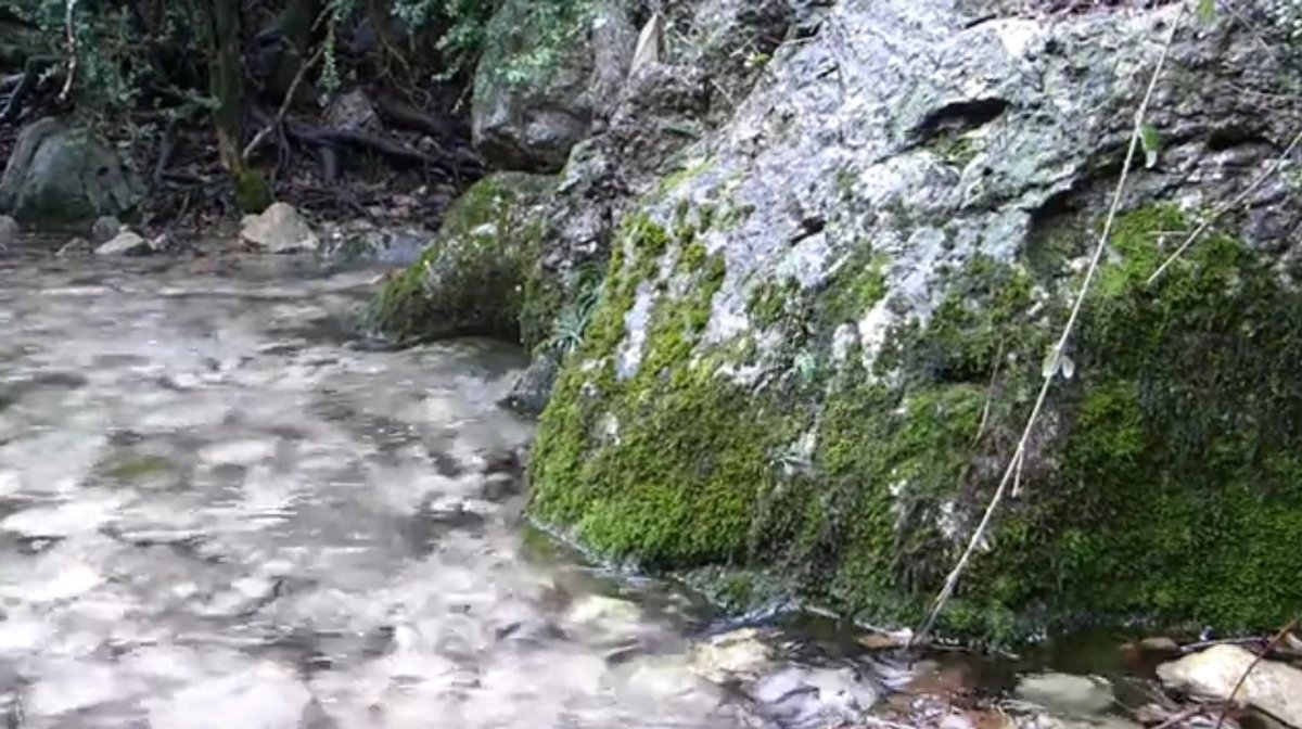 Les pluges tornen a regar generosament les Terres de l’Ebre