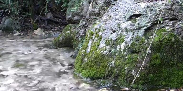 Les pluges tornen a regar generosament les Terres de l’Ebre