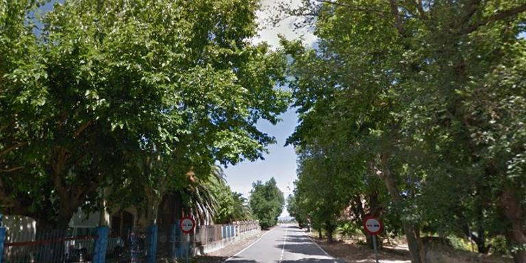 Talen els arbres de la carretera de Tortosa, per evitar problemes