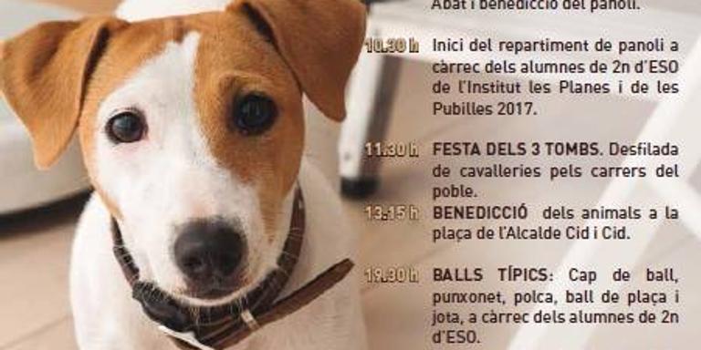Sant Antoni arriba també a Santa Bàrbara aquest proper diumenge