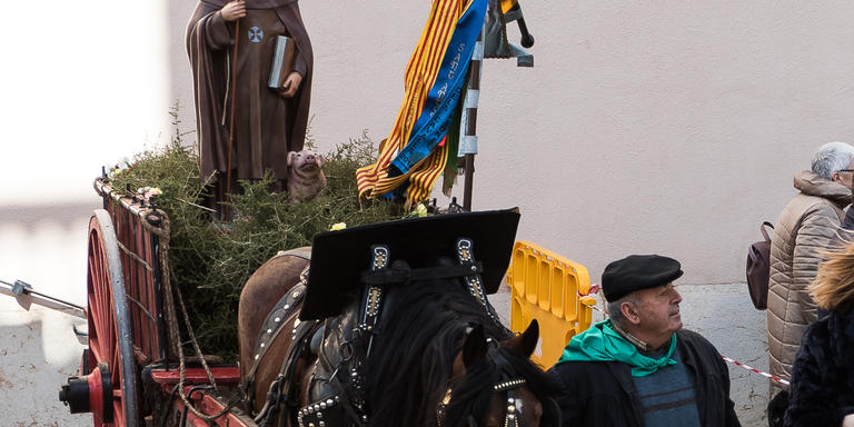 La festat de Sant Antoni, segueix més viva que mai, tot i el fort vent.