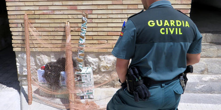 Denunciats dos veïns de Tarragona per capturar caderneres amb arts prohibides a Santa Bàrbara