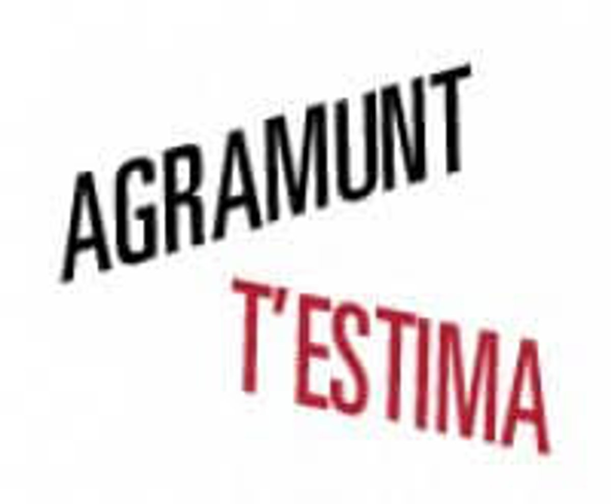 Un laberint a la Plaça de l'Església, un dels reclams per promocionar el comerç agramuntí 