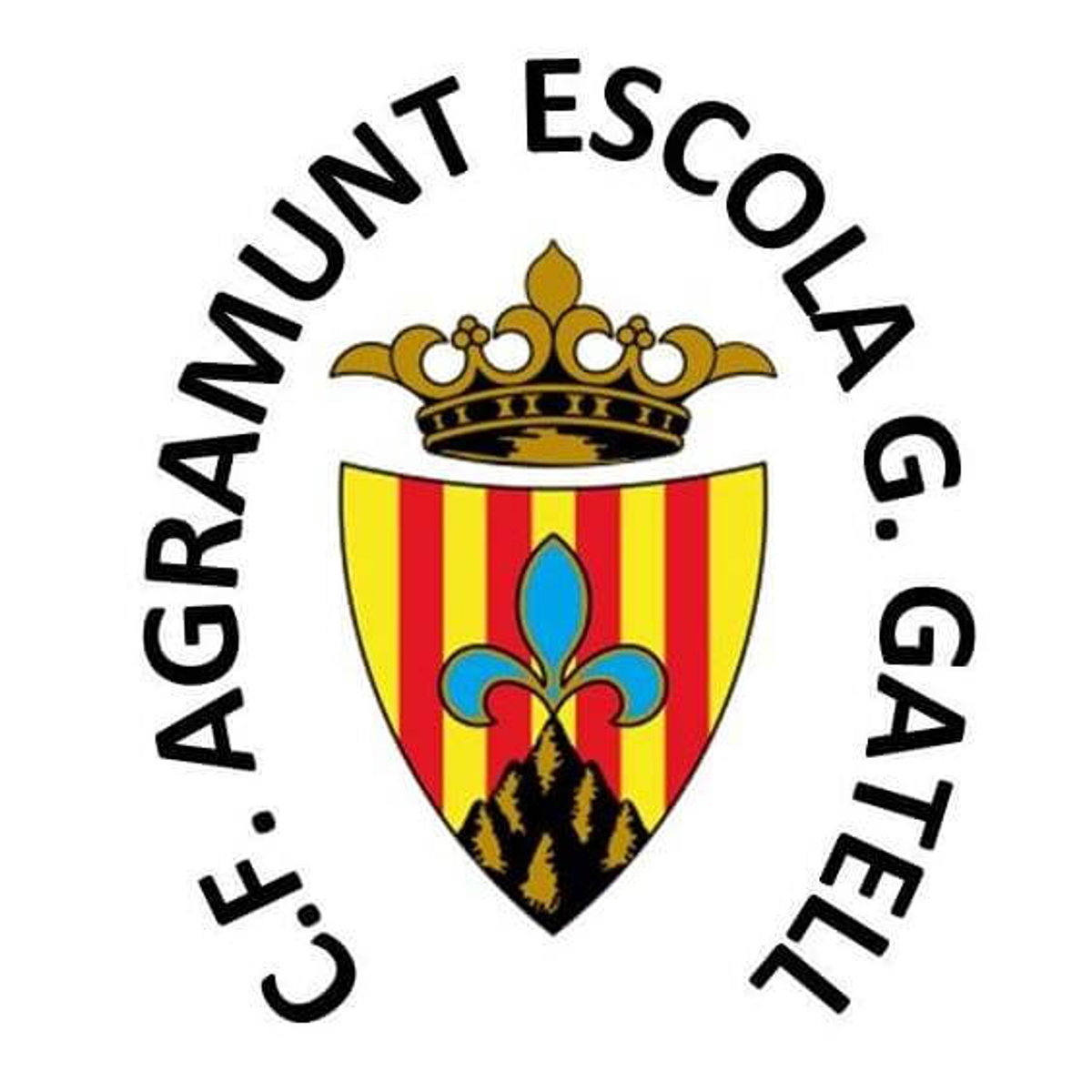 Empat de l'Agramunt contra l'Organyà