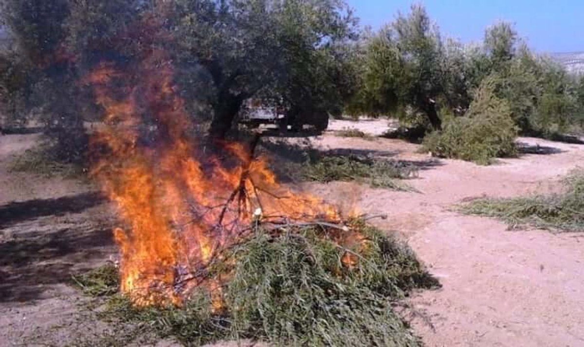 Limiten l'horari de crema de restes vegetals a causa de la sequera