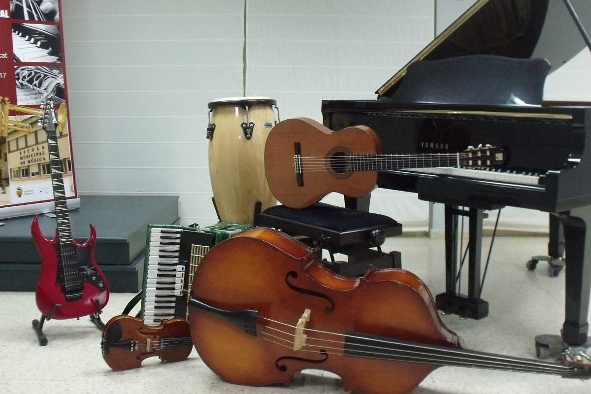 Els alumnes de l'EMMA estudiaran instruments de música tradicional 