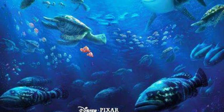 Buscant la Dory, la pel·licula d'aquest dissabte al cicle Cinc