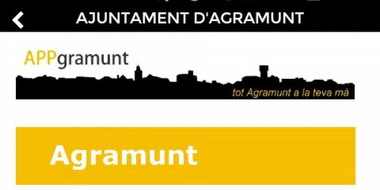 Els agramuntins notifiquen 60 incidències a la via pública mitjançant l'APP