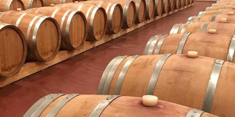 Sortida a les bodegues Mas Blanch i Jové per visitar l'exposició 'Amb A d'Amic'