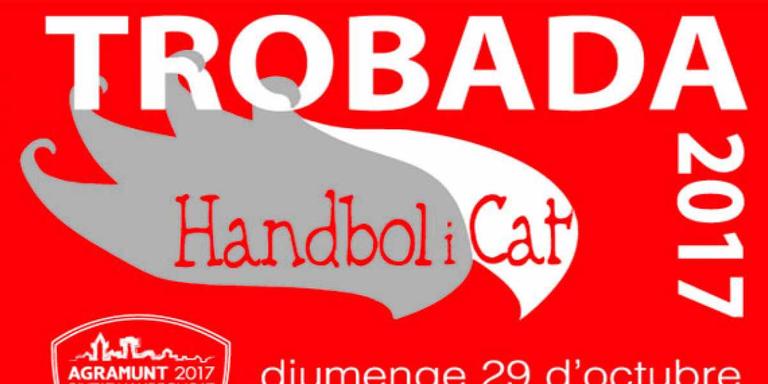Agramunt acull la Trobada Handbolicat 2017, amb més de 400 nenes i nenes