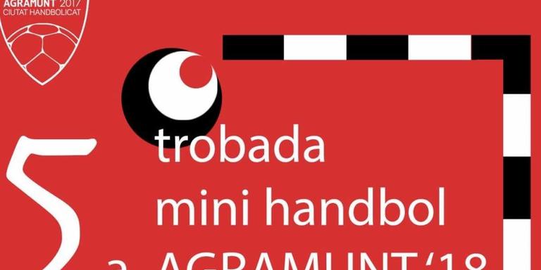 Cinquena trobada de mini handbol a Agramunt