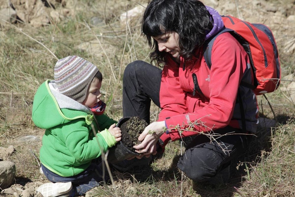Nova jornada de voluntariat per plantar arbres al riu Francolí