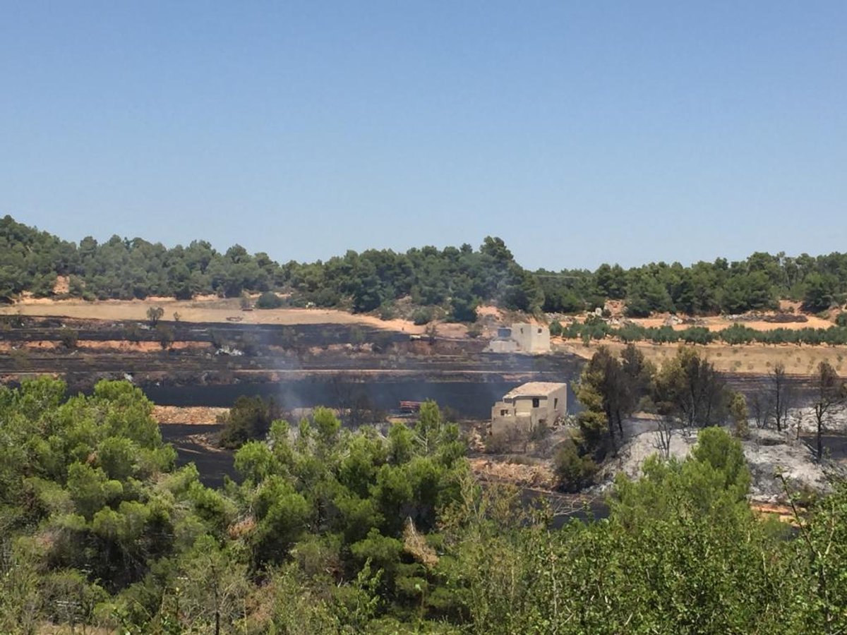 Estabilitzat l'incendi que ha cremat 3 hectàrees a tocar de l'AP-2 a l'Espluga