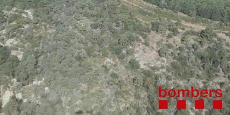 Estabilitzat un incendi de poc abast a Castellfollit, al límit del PNIN de Poblet
