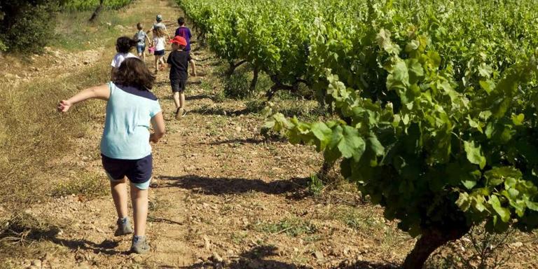 Santa Bàrbara vol iniciar una campanya per fomentar l’ ús de la deixalleria