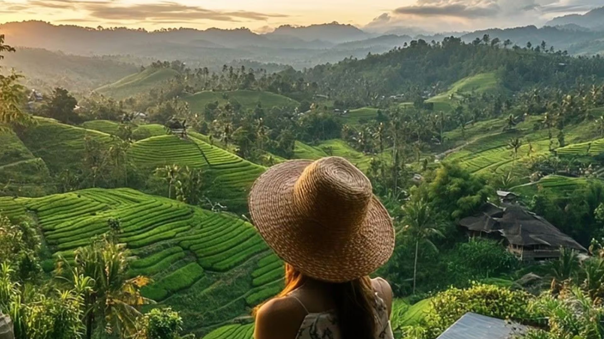 Rice Terrace Jatiluwih