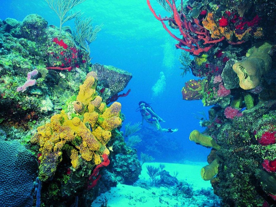 Isla Mujeres Clear Boat