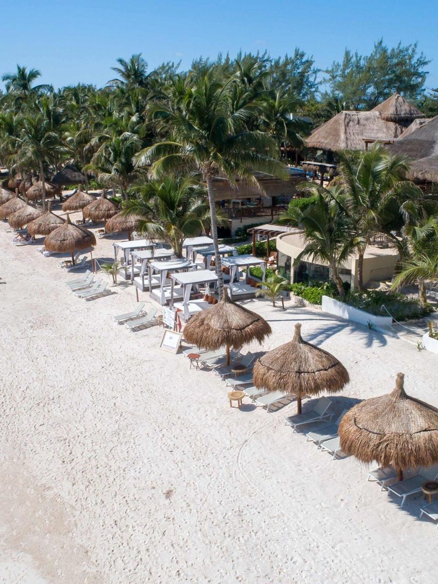 Palapas de un club de playa en la costera de Tulum.