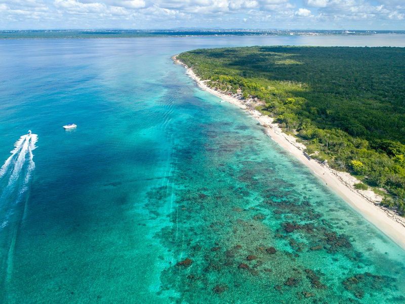 Isla Catalina and Isla Saona