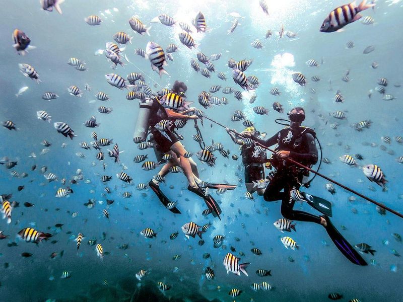 The wrecks off Bayahibe