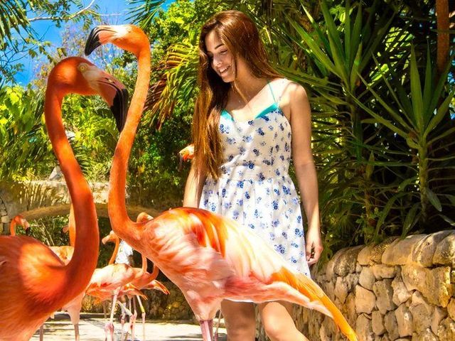 Parque Xcaret
