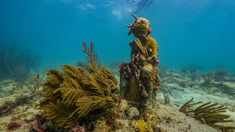 Snorkel en Cancún, foto 11