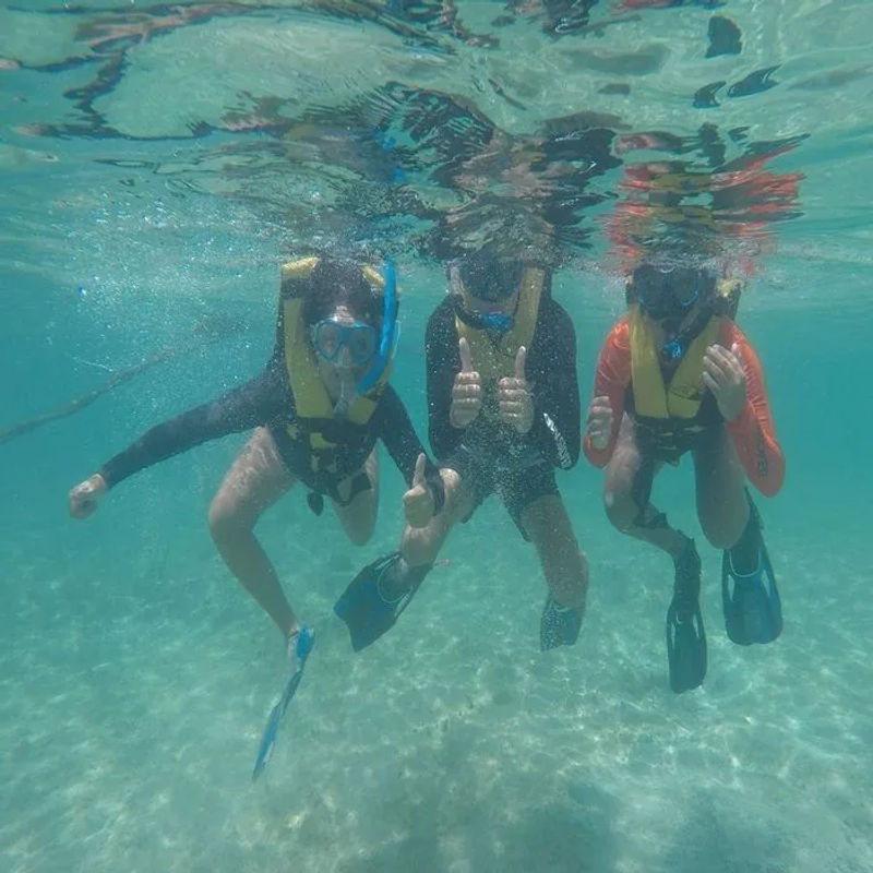 Snorkel en Cancún, foto 8