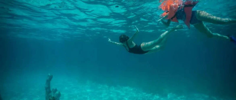 Snorkel en Cancún, foto 6