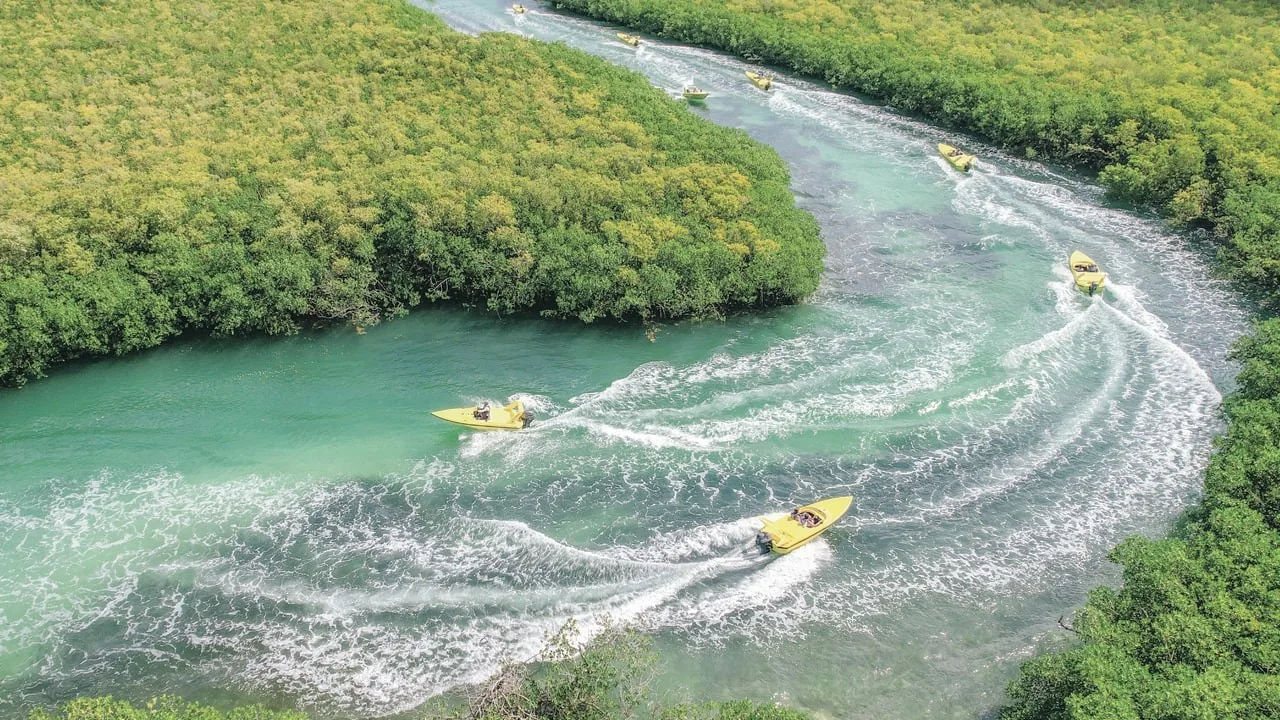 Jungle Tour Cancún