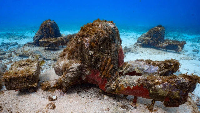 Snorkel en el MUSA, museo subacuático