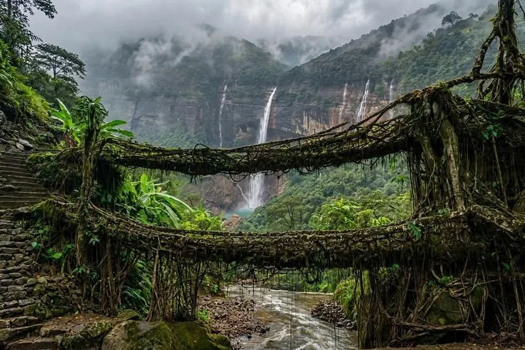 The Double Decker Living Root Bridge at Nongriat with waterfalls in the misty valley behind it
