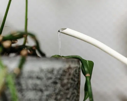 Siram Kebun Lewat HP: Cara Bikin Irigasi Tetes Otomatis Murah Pakai Smart Plug WiFi