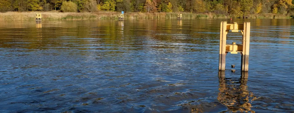 Ikan Anti Mati Mendadak: Cara Pantau Kualitas Air Kolam Menggunakan Sensor Digital