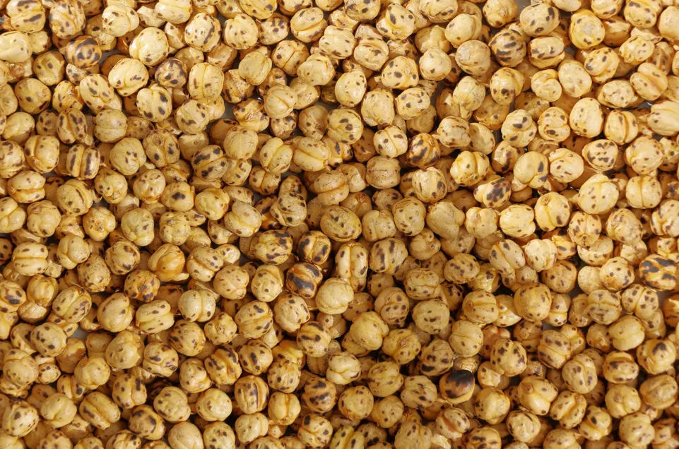 Rahasia Sukses Budidaya Tigernut di Rumah: Umbi Mini Superfood Bahan Utama Susu Nabati Sehat