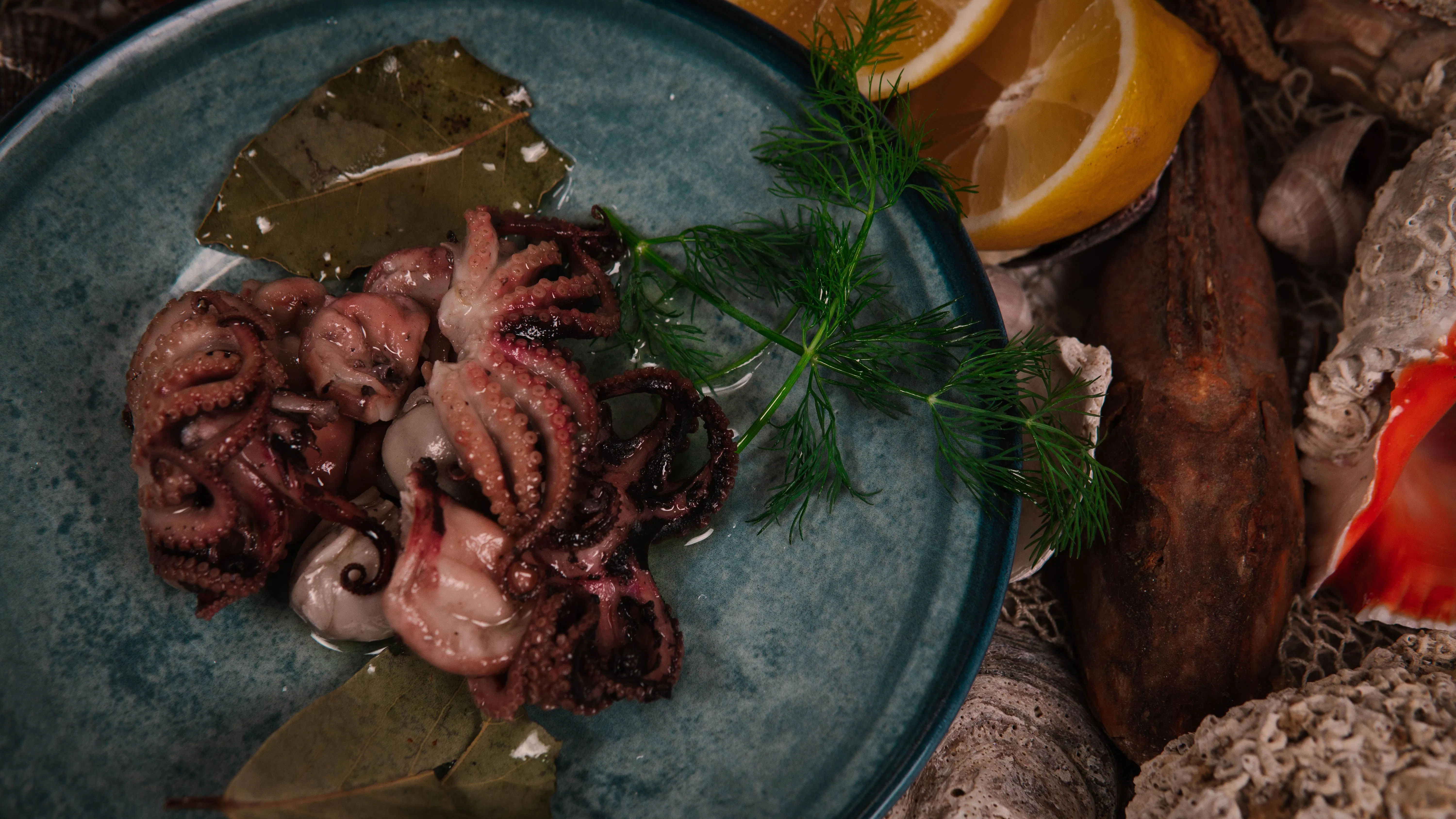 Rahasia Mengolah Cumi-Cumi Agar Empuk: Dari Cumi Hitam Madura Hingga Calamari Crispy