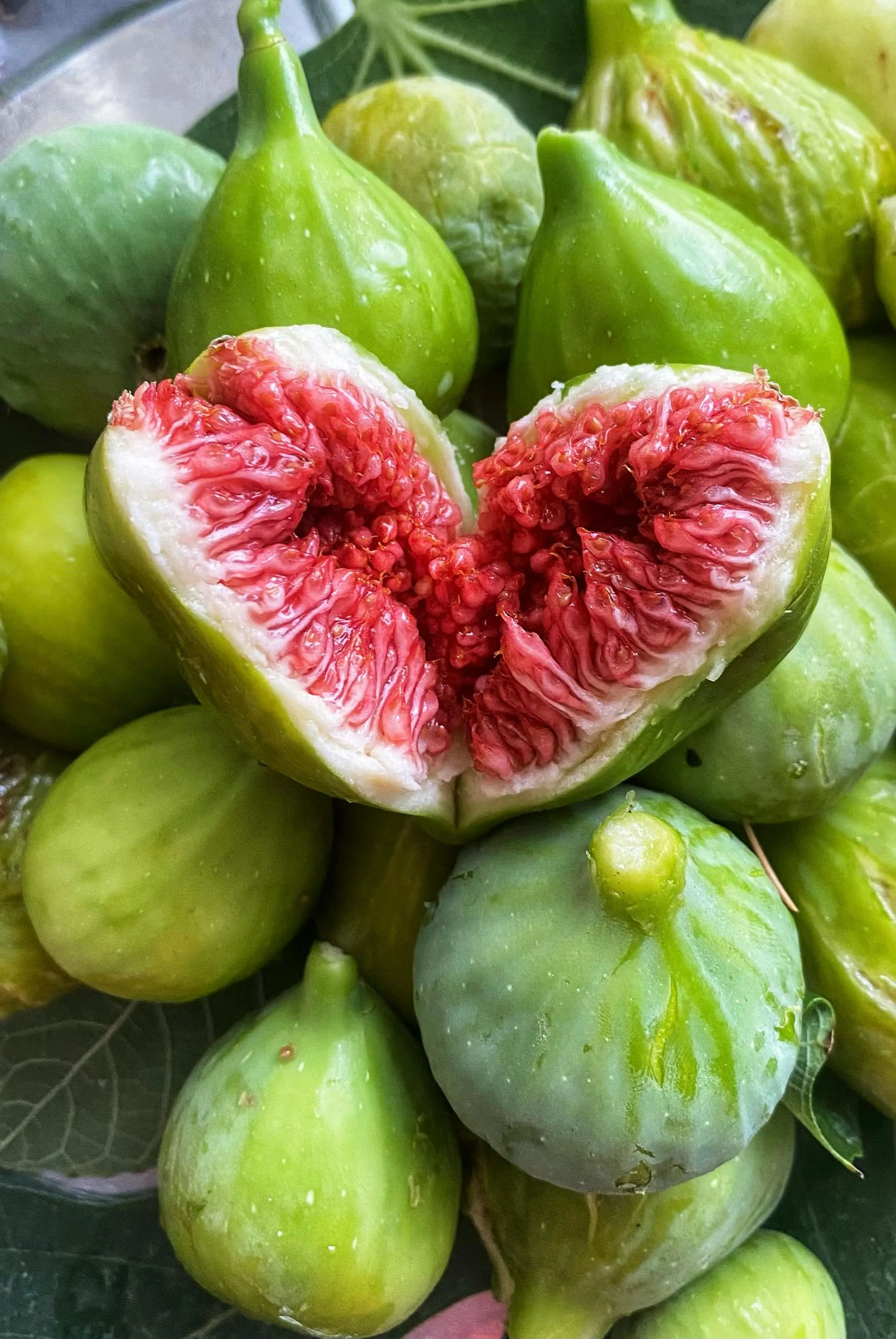 Peluang Tabulampot Buah Tin: Menanam Buah Kaya Sejarah yang Tahan Panas