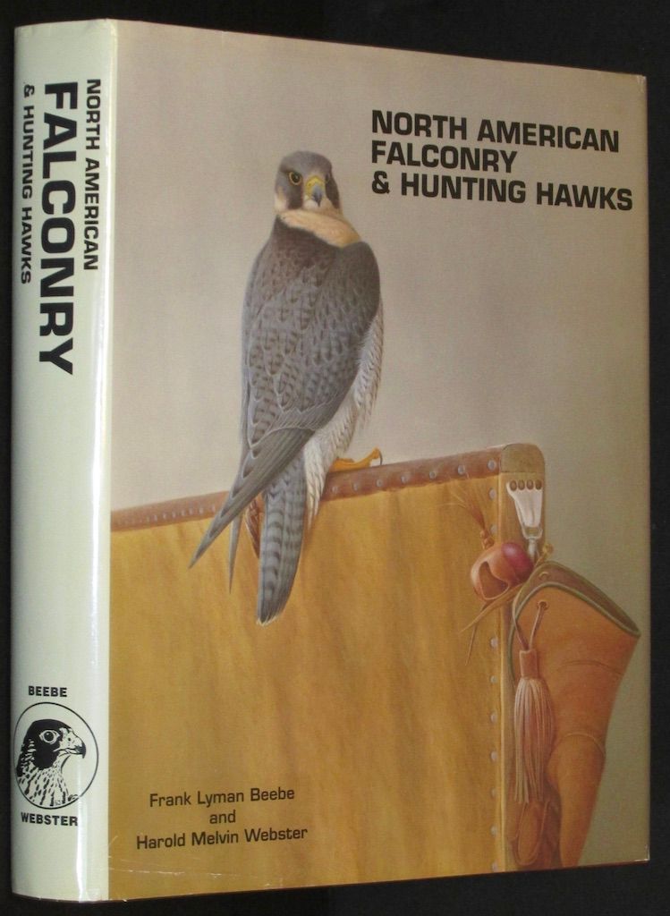 North American Falconry and Hunting Hawks