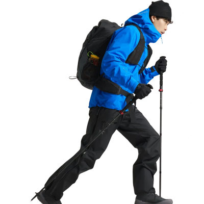 Мембранные брюки Arcteryx Beta SV, мужские — 4