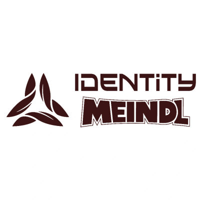 Подходные кроссовки Meindl Ascona Identity, мужские — 3