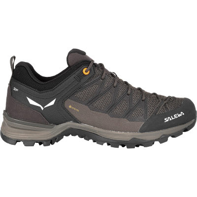 Треккинговые ботинки Salewa MTN Trainer Lite GTX, мужские