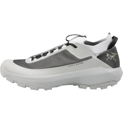 Треккинговые ботинки Arcteryx Vertex Alpine, мужские