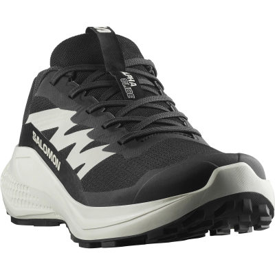 Кроссовки для трейлраннинга Salomon Alphaglide, мужские — 2